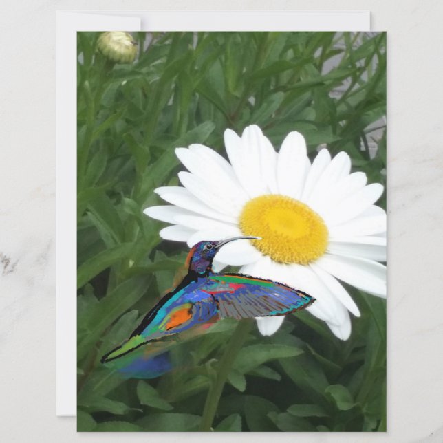 Hummingbird themed Scrapbook paper  (Vorderseite)