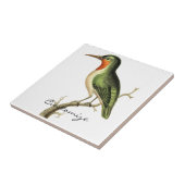 Hummingbird Thunder_Cove Fliese (Seite)