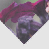 Hummingbird Tissue Paper Seidenpapier (Ausschnitt)