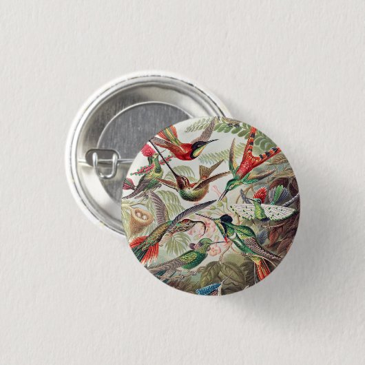 Hummingbird, Trochilidae Kolibris von Ernst Haecke Button (Vorne & Hinten)