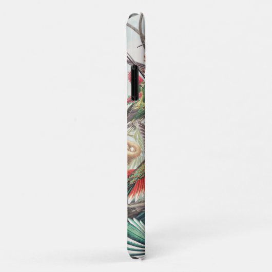 Hummingbird, Trochilidae Kolibris von Ernst Haecke Case-Mate iPhone Hülle (Hinten/Rechts)