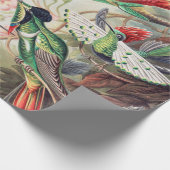 Hummingbird, Trochilidae Kolibris von Ernst Haecke Geschenkpapier (Ecke)