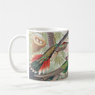 Hummingbird, Trochilidae Kolibris von Ernst Haecke Kaffeetasse