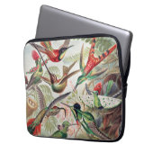 Hummingbird, Trochilidae Kolibris von Ernst Haecke Laptopschutzhülle (Vorderseite Links)