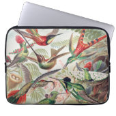 Hummingbird, Trochilidae Kolibris von Ernst Haecke Laptopschutzhülle (Vorderseite)
