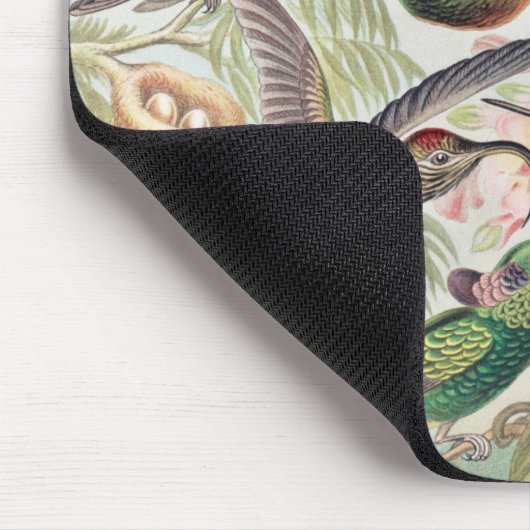 Hummingbird, Trochilidae Kolibris von Ernst Haecke Mousepad (Ecke)
