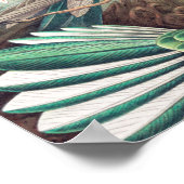 Hummingbird, Trochilidae Kolibris von Ernst Haecke Poster (Ecke)