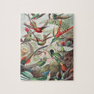 Hummingbird, Trochilidae Kolibris von Ernst Haecke Puzzle