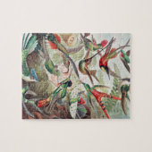 Hummingbird, Trochilidae Kolibris von Ernst Haecke Puzzle (Horizontal)
