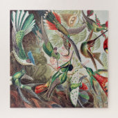 Hummingbird, Trochilidae Kolibris von Ernst Haecke Puzzle (Horizontal)