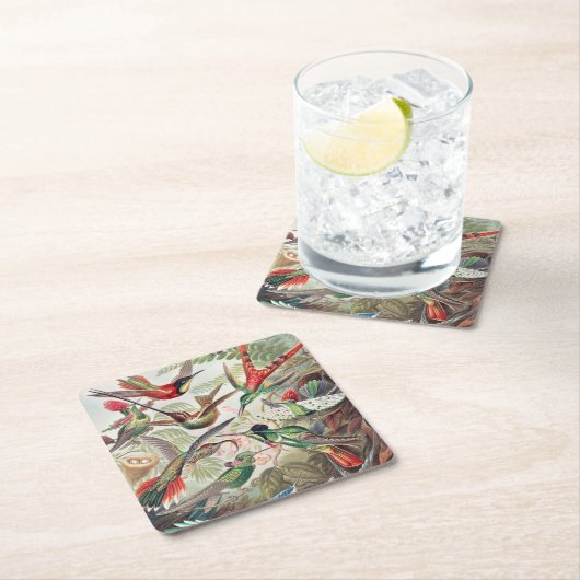 Hummingbird, Trochilidae Kolibris von Ernst Haecke Rechteckiger Pappuntersetzer (Vor Ort)