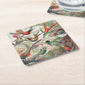 Hummingbird, Trochilidae Kolibris von Ernst Haecke Rechteckiger Pappuntersetzer (angewinkelt)