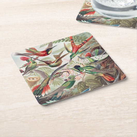 Hummingbird, Trochilidae Kolibris von Ernst Haecke Rechteckiger Pappuntersetzer (angewinkelt)