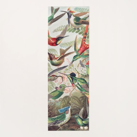 Hummingbird, Trochilidae Kolibris von Ernst Haecke Yogamatte (Rückseite)