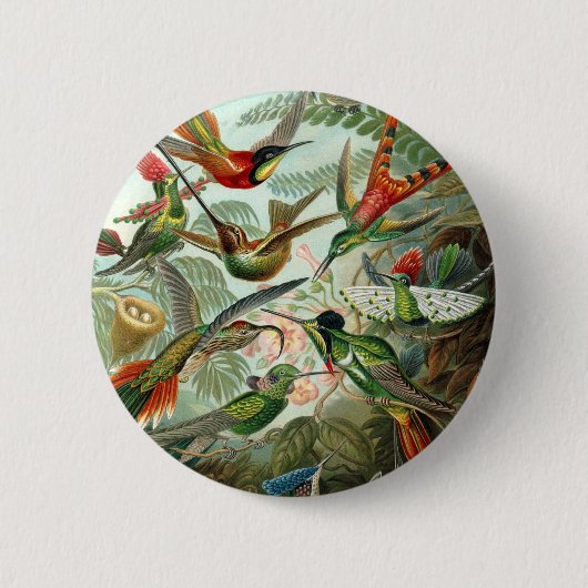 Hummingbird (Trochilidae) von Haeckel Button (Vorderseite)