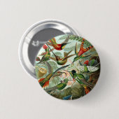 Hummingbird (Trochilidae) von Haeckel Button (Vorne & Hinten)