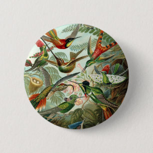 Hummingbird (Trochilidae) von Haeckel Button