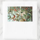 Hummingbird (Trochilidae) von Haeckel Rectangle St Rechteckiger Aufkleber (Tasche)