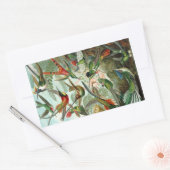 Hummingbird (Trochilidae) von Haeckel Rectangle St Rechteckiger Aufkleber (Umschlag)