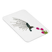 Hummingbird-Tulpen Magnet (Rechte Seite)
