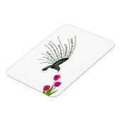 Hummingbird-Tulpen Magnet (Linke Seite)
