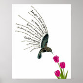 Hummingbird-Tulpen Poster (Vorne)