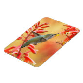 Hummingbird umgeben von rotem Yucca Magnet (Linke Seite)