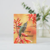 Hummingbird umgeben von Yucca, Frohe Weihnachten (Stehend Vorderseite)
