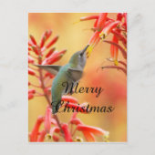 Hummingbird umgeben von Yucca, Frohe Weihnachten (Vorderseite)