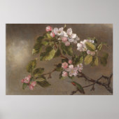 Hummingbird und Apple Blossom Vintage Malerei Poster (Vorne)