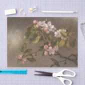 Hummingbird und Apple-Blüten von Martin Heade Seidenpapier (Handwerk)