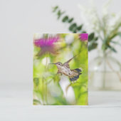 Hummingbird und Bee Balm Postkarte (Stehend Vorderseite)