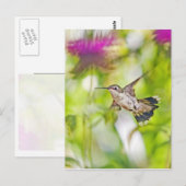 Hummingbird und Bee Balm Postkarte (Vorne/Hinten)
