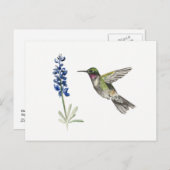 Hummingbird und Bluebonnet Postkarte (Vorne/Hinten)