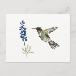 Hummingbird und Bluebonnet Postkarte