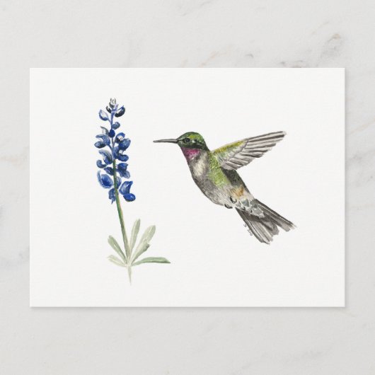 Hummingbird und Bluebonnet Postkarte (Vorderseite)