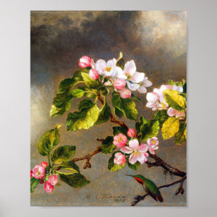 Hummingbird und Blüten von Martin Johnson Heade Poster