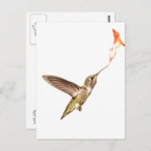 Hummingbird und die Blume Postkarte (Vorne/Hinten)