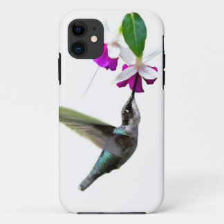 Hummingbird und Fuschia iPhone 11 Hülle