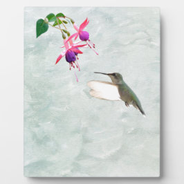 Hummingbird und Fuschia Fotoplatte