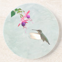 Hummingbird und Fuschia