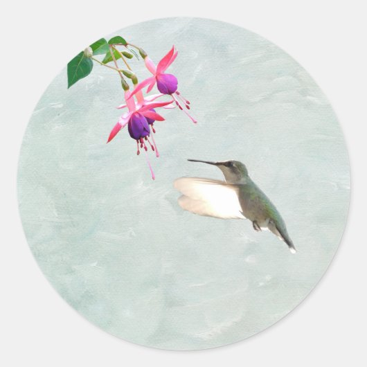 Hummingbird und Fuschia Sticker (Vorderseite)