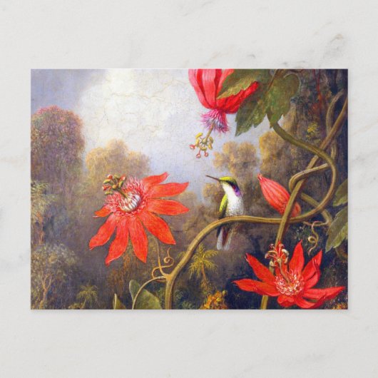 Hummingbird und Passiflora von Martin Johnson Head Postkarte (Vorderseite)