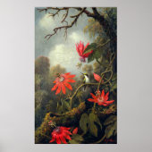 Hummingbird und Passionblumen Poster (Vorne)