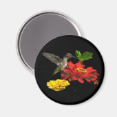 Hummingbird und Zinnias Magnet (Vorderseite/Rückseite)