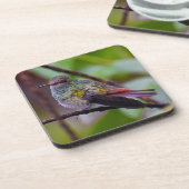 Hummingbird Untersetzer Original Foto Costa Rica (Linke Seite)