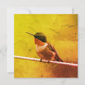 Hummingbird Vielen Dank (Vorderseite)