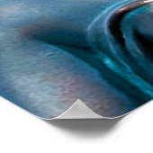 hummingbird view Poster (Ecke)