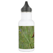 Hummingbird: Vögel in Blume Trinkflasche (Links)