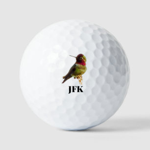 Hummingbird Vogelbeobachtung wild lebende Tiere Golfball